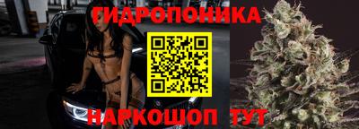 прущие крисы Нарткала