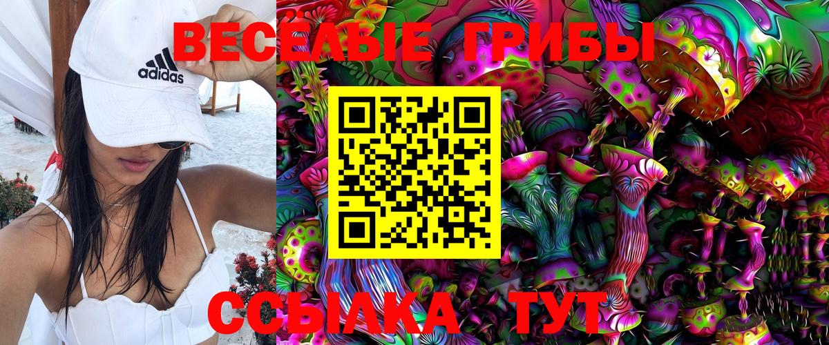 Галлюциногенные грибы мухоморы Славянск-на-Кубани