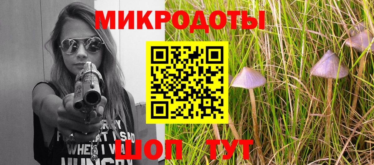 Галлюциногенные грибы MAGIC MUSHROOMS  Вход с VPN  Славянск-на-Кубани 